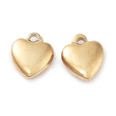 304 Stainless Steel Charms STAS-L022-377G-1