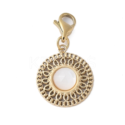 304 Stainless Steel Pendant Decoration STAS-S165-02G-1