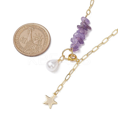 Natural Amethyst Chip Beads Necklaces NJEW-JN04943-1