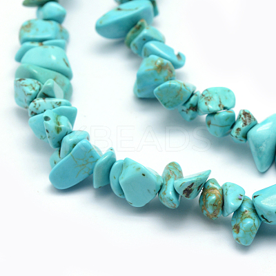 Synthetic Turquoise Beads Strands G-P332-24B-1