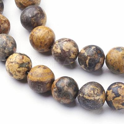 Natural Gemstone Leopard Skin Jasper Round Beads Strands G-A130-2mm-24-1