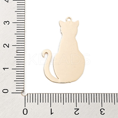 Long-Lasting Plated Brass Pendants KK-K336-53KCG-1