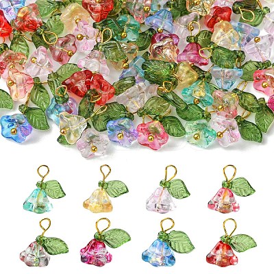 Glass & Acrylic Charms FIND-YW0006-91A-1