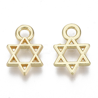 Alloy Charms PALLOY-S132-084-1