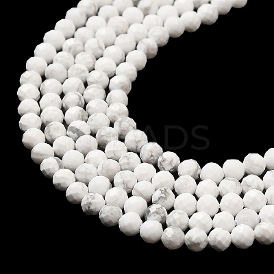 Natural Howlite Beads Strands X-G-E608-A01-B-1