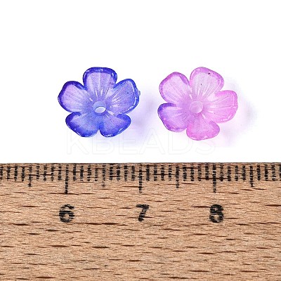 Transparent Plastic Bead Caps KY-Q005-02A-05-1