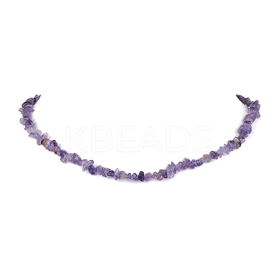 Natural Amethyst Chip Beaded Necklace NJEW-JN04616-06-1