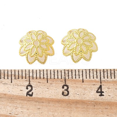 Brass Fancy Bead Caps KK-EC1166-G-1