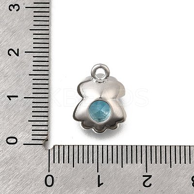Brass Pave Cubic Zirconia Charms KK-C096-15P-02-1