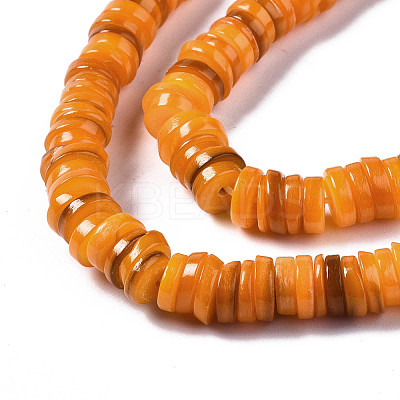 Natural Freshwater Shell Beads Strands X-SHEL-Q024-001H-1