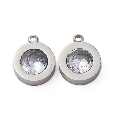 304 Stainless Steel Charms STAS-C129-05P-02-1