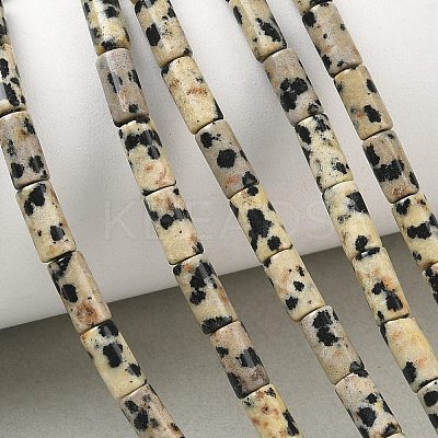 Natural Dalmatian Jasper Beads Strands G-B091-A19-01-1