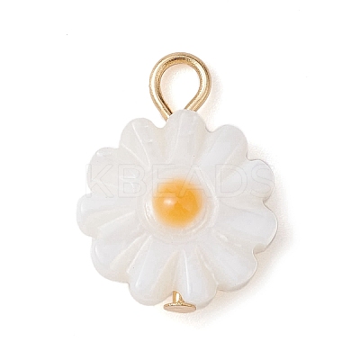 Natural Freshwater Shell Flower Charms with Golden Plated 304 Stainless Steel Loops PALLOY-JF02444-1