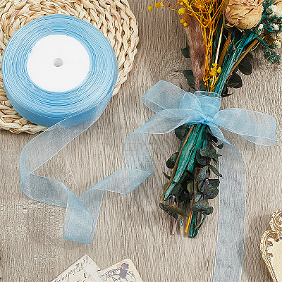 1 Rolls Sheer Organza Ribbon SRIB-CY0001-22A-04-1