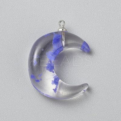 Luminous Transparent Resin Pendants RESI-WH0081-01D-1