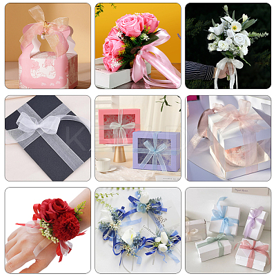 1 Rolls Sheer Organza Ribbon SRIB-CY0001-22A-05-1