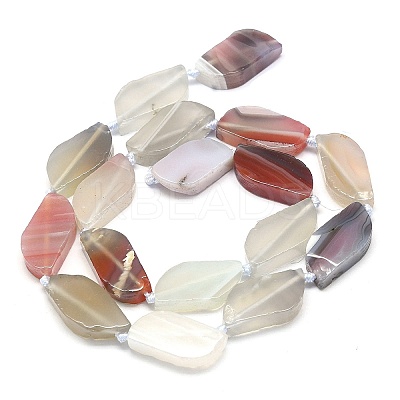 Natural Botswana Agate Beads Strands G-G106-F02-01-1