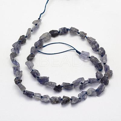 Rough Raw Natural Kyanite/Cyanite/Disthene Beads Strands G-K202-15-1