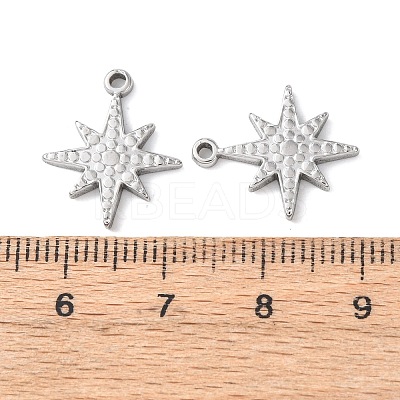 304 Stainless Steel Pendants LS-STAS-Z177-06P-1