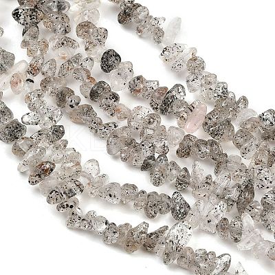 Natural Black Strawberry Quartz Chip Beads Strands G-B160-A03-1