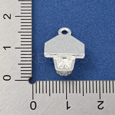 Alloy Pendants LS-FIND-Z055-03S-1