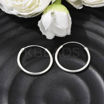 Brass Hoop Earrings EJEW-G474-01S-03-1