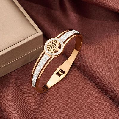 Stainless Steel Hinged Bangles for Women WGCD00D-03-1