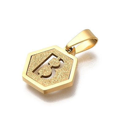 304 Stainless Steel Charms STAS-H227-01G-B-1
