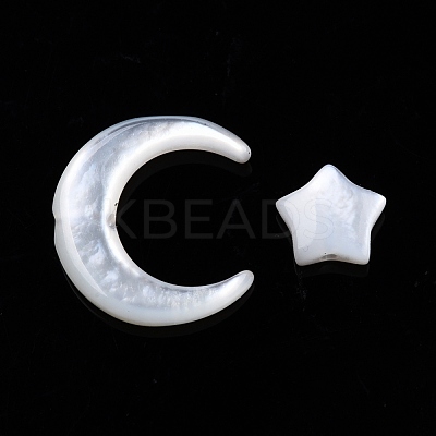 Natural White Shell Beads Sets SSHEL-N032-52B-01-1