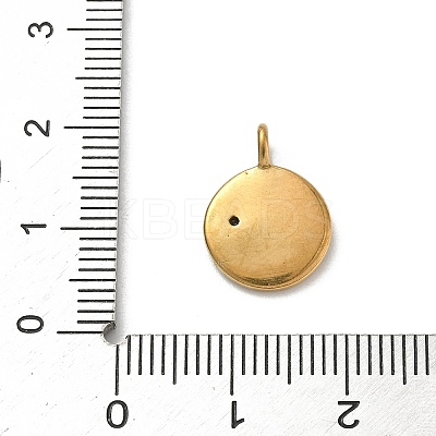 304 Stainless Steel Pendants LS-STAS-H243-06G-1