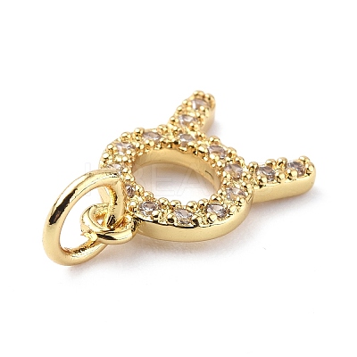 Brass Micro Pave Cubic Zirconia Charms ZIRC-F131-16G-08-1