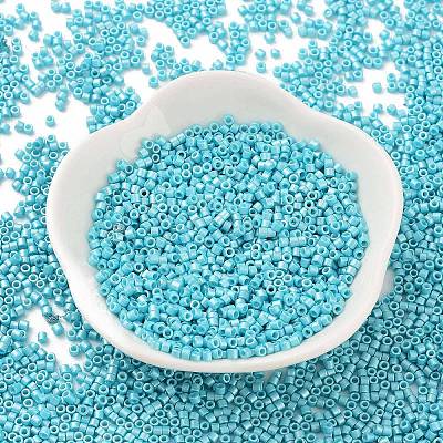 Baking Paint Glass Seed Beads X-SEED-S042-15B-34-1
