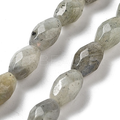 Natural Labradorite Beads Strands G-P520-C08-01-1