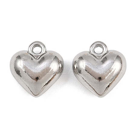 304 Stainless Steel Charms STAS-L303-13P-1