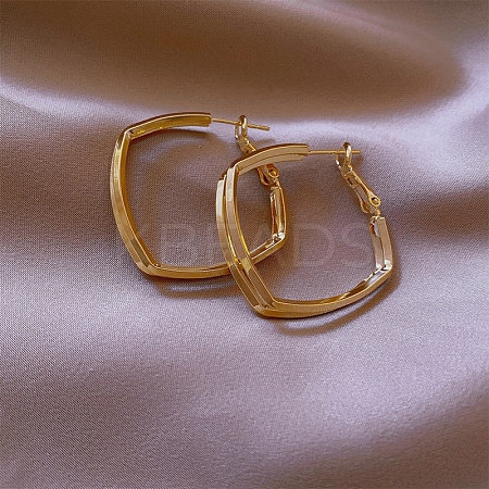 Alloy Hoop Earrings for Women FS-WG67811-89-1