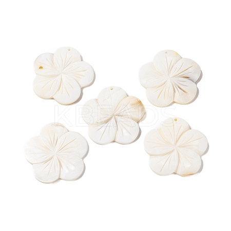 Natural Freshwater Shell Carved Pendants BSHE-S304-14-1