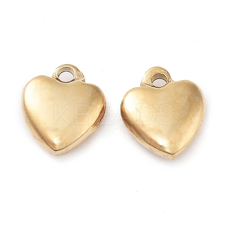 304 Stainless Steel Charms STAS-L022-377G-1
