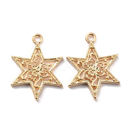 Zinc Alloy Pendants FIND-I017-01G-1