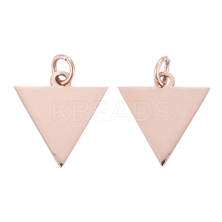 Ion Plating(IP) 304 Stainless Steel Pendants LS-STAS-I311-22RG-1