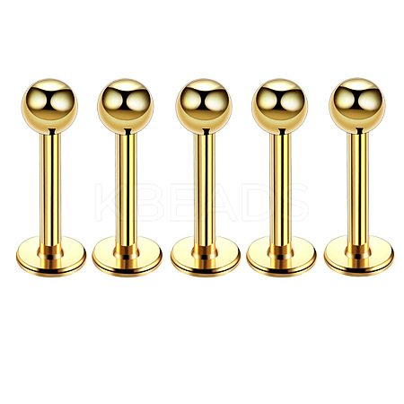 304 Stainless Steel Round Internally Threaded Labrets for Women Men WG9B6EB-24-1