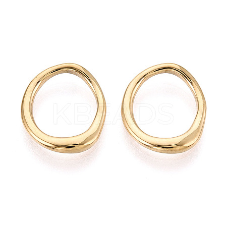 304 Stainless Steel Charms STAS-T069-88G-02-1