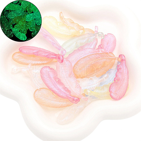 Luminous Transparent Acrylic Beads PW-WG1430A-05-1