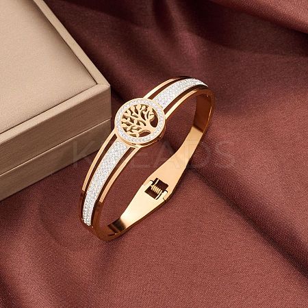 Stainless Steel Hinged Bangles for Women WGCD00D-03-1