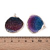 Spray Paint & Electroplate Natural Sea Shell Pendants SSHEL-N042-16A-3