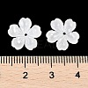 Natural White Shell Carved Beads SSHEL-I026-12D-05-3