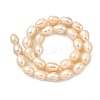 Natural Cultured Freshwater Pearl Beads Strands PEAR-I007-01H-02B-3