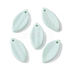 Natural Rainbow Alashan Agate Pendants G-G194-03E-1