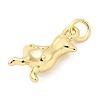 Brass Pendants KK-I364-02G-03-2
