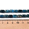 Natural Apatite Beads Strands G-G980-51A-5