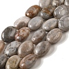 Natural Crazy Lace Agate Beads Strands G-G102-B01-01-2